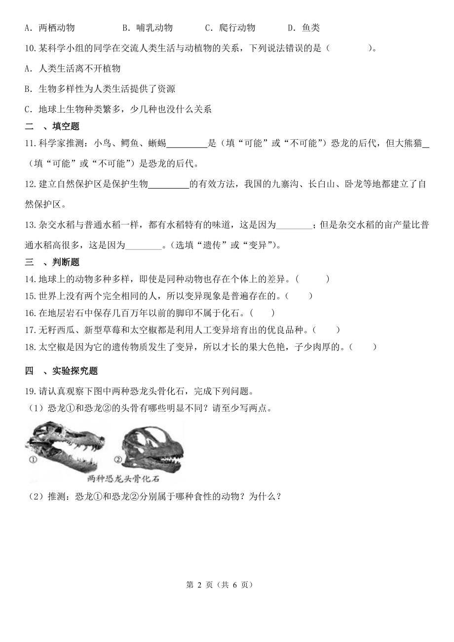 2023新教科版六年级下册《科学》第二单元生物的多样性单元检测卷（含解析）.docx_第2页