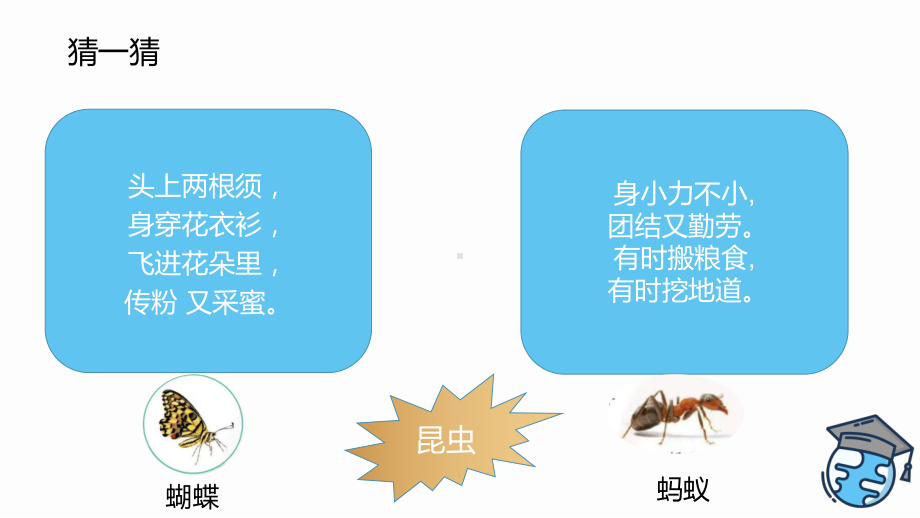 3.9庞大的家族（ppt课件共13张PPT+视频）-2023新苏教版四年级下册《科学》.pptx_第3页