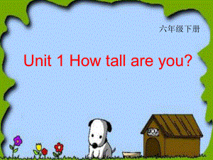 小学六年级英语下册课件Unit1 6-1-1 Unit 1 How tall are you.ppt