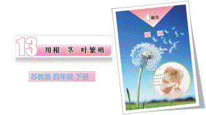 4.2用根、茎、叶繁殖ppt课件(共20张PPT+视频)-2023新苏教版四年级下册《科学》.pptx