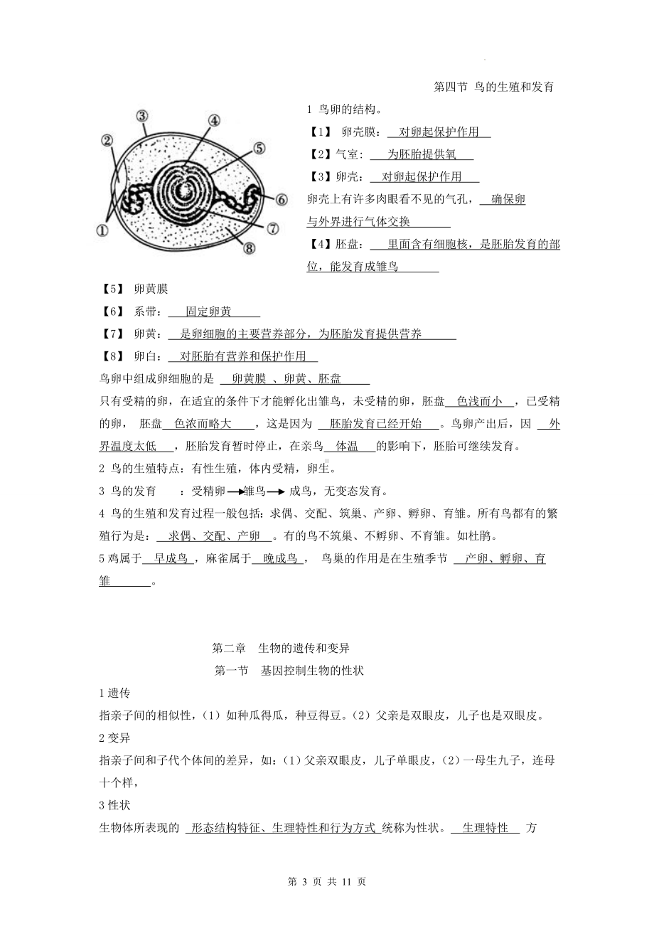 人教版生物八年级下册知识点复习提纲（实用！）.docx_第3页