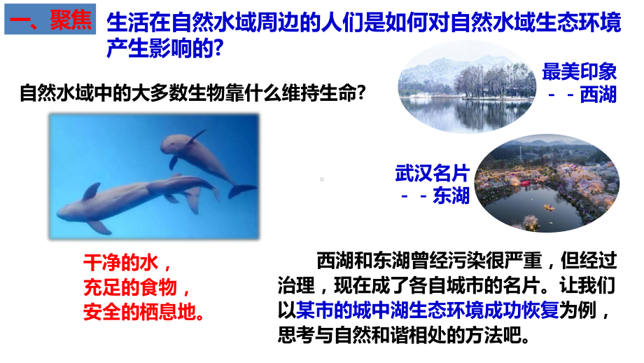 3.7分析一个实际的环境问题（ppt课件16张PPT）-2023新教科版五年级下册《科学》.pptx_第2页