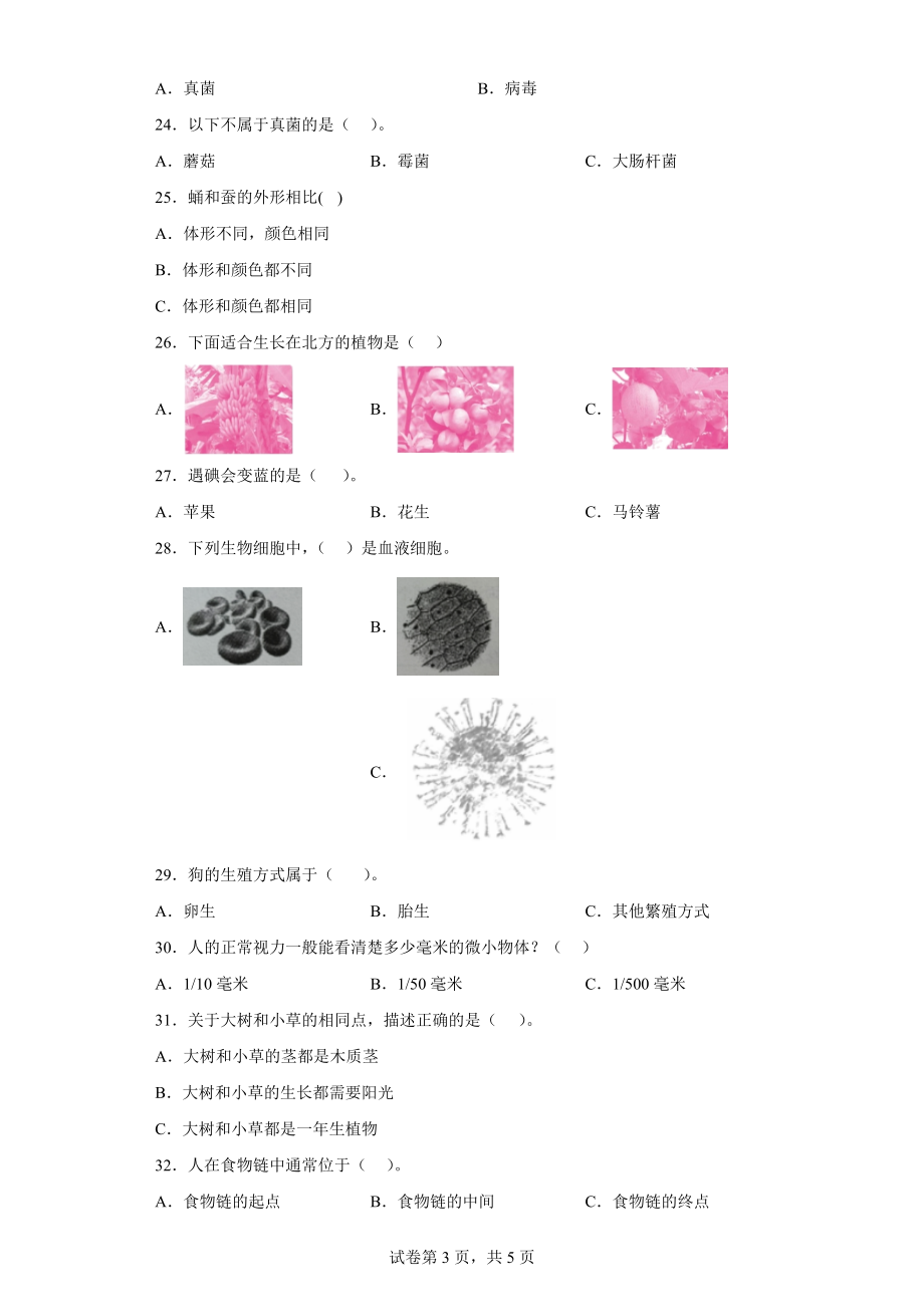 2023新苏教版六年级下册《科学》选择题专项训练：生命科学（含答案）.doc_第3页