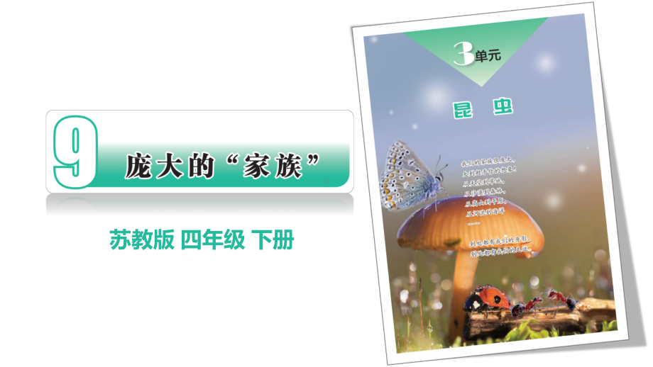 3.9庞大的家族（ppt课件共16张PPT+视频）-2023新苏教版四年级下册《科学》.pptx_第1页