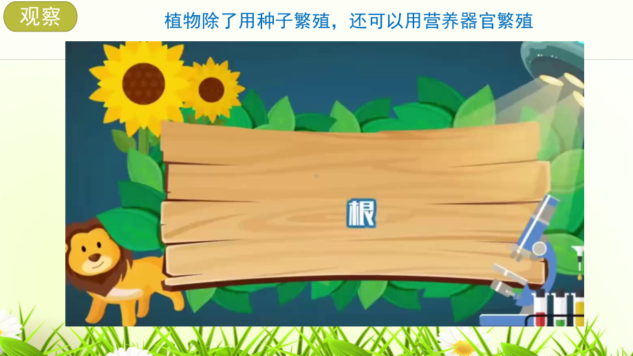 4.2用根、茎、叶繁殖ppt课件(共13张PPT+视频)-2023新苏教版四年级下册《科学》.pptx_第3页