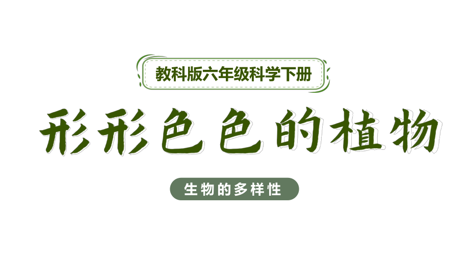 3.3形形色色的植物ppt课件(共36张PPT)-2023新教科版六年级下册《科学》.pptx_第1页