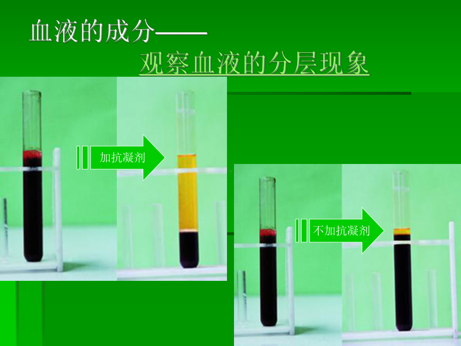 第一节人体内物质的运输-血液.ppt_第3页