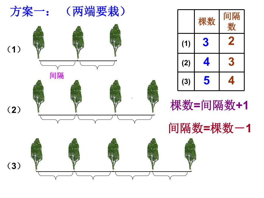 人教版四年级数学下册第八单元数学广角《植树问题-第2课时》11PPT课件.ppt_第1页