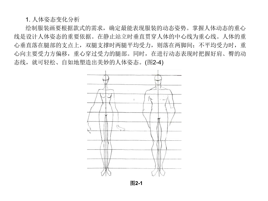 人体结构表现.ppt_第3页