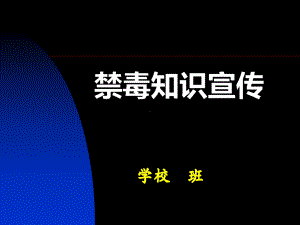 禁毒主题班会精品课件.pptx