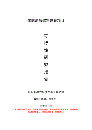 重点项目煤制清洁燃料建设项目可行性研究报告申请立项备案可修改案例.doc