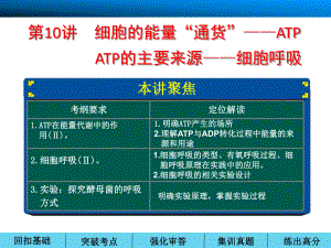 第三单元第10讲细胞的能量通货-ATP能量的主要来源-呼吸作用.ppt