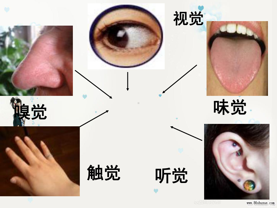 第一节-人体对外界环境的感知.ppt_第2页