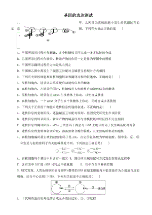 (完整版)基因的表达测试题.doc