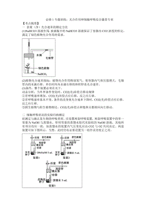 (完整版)光合作用和细胞呼吸综合训练及习题解析.doc