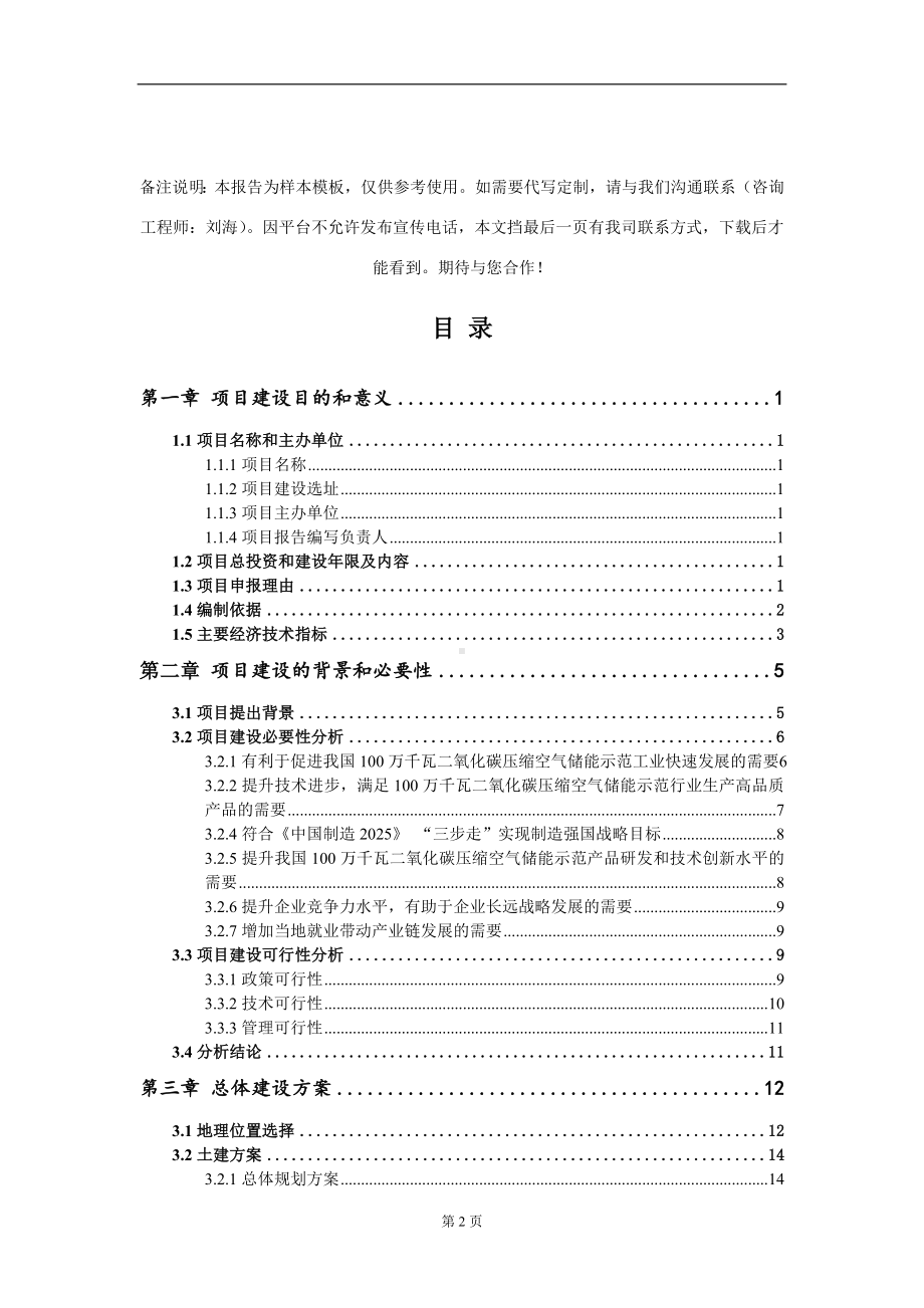 100万千瓦二氧化碳压缩空气储能示范项目建议书写作模板.doc_第2页