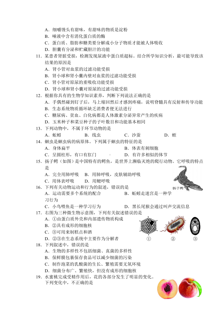 (完整版)2019年长沙市初中生物毕业学业水平考试模拟试卷(3).doc_第2页