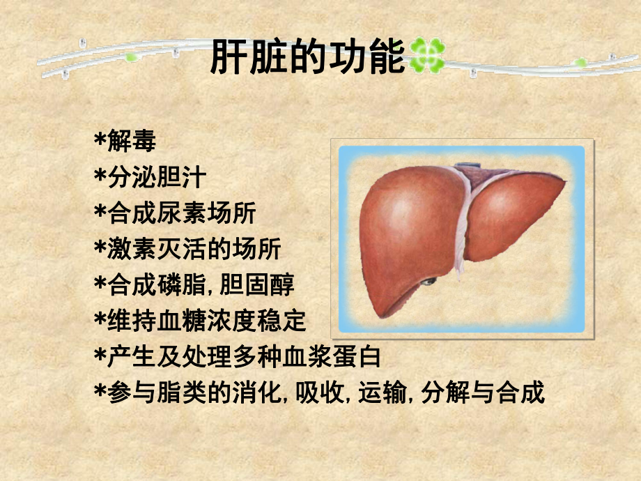 韩国风格的医学PPT模板.ppt_第3页