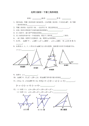 (完整版)北师大版初一下册三角形培优.doc