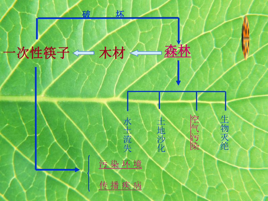 初中地理（一次性筷子）微型课.ppt_第2页