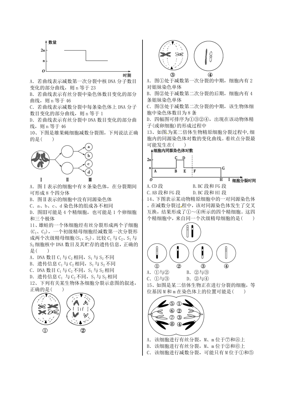 (完整版)减数分裂经典试题附解析.doc_第2页