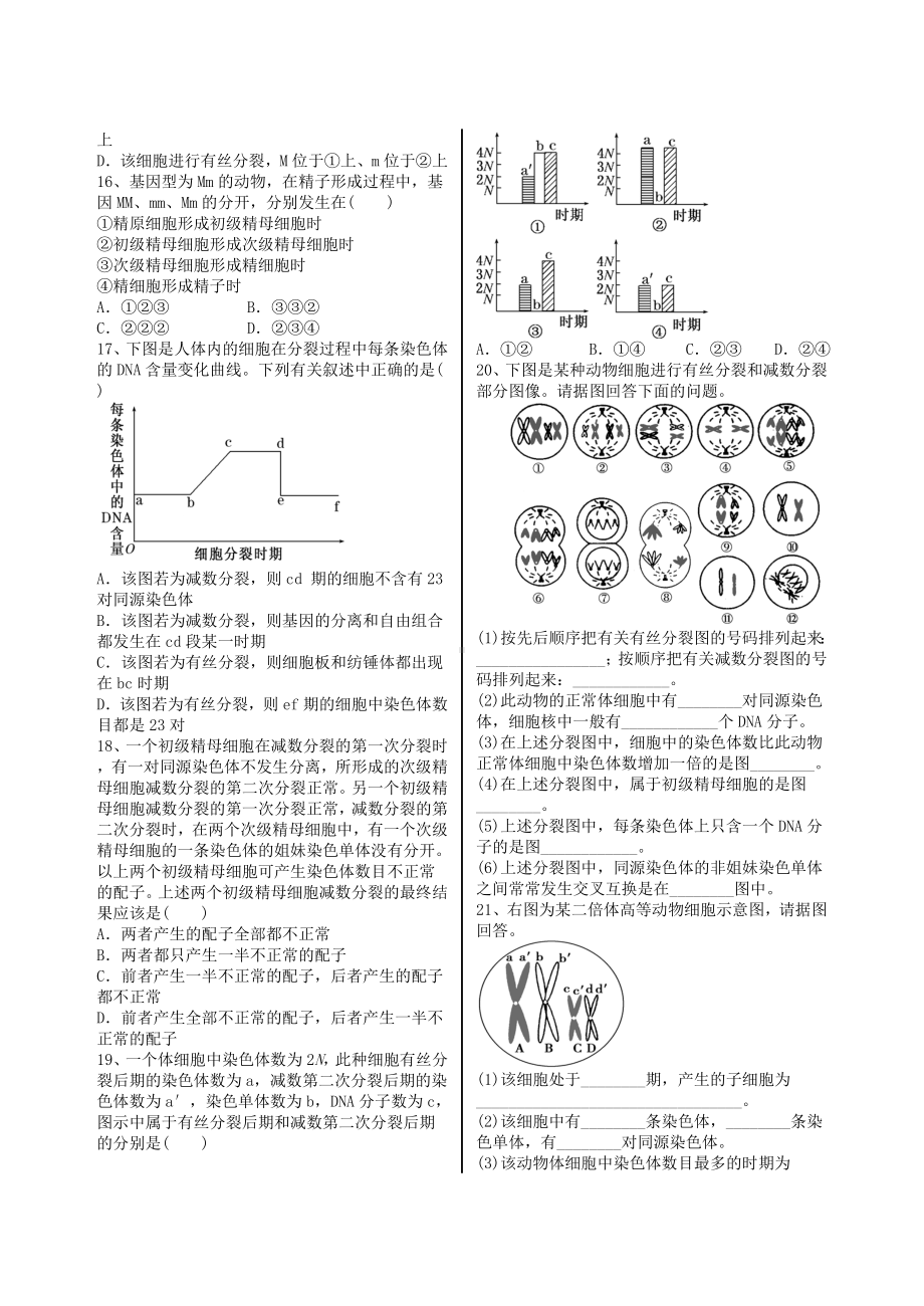 (完整版)减数分裂经典试题附解析.doc_第3页