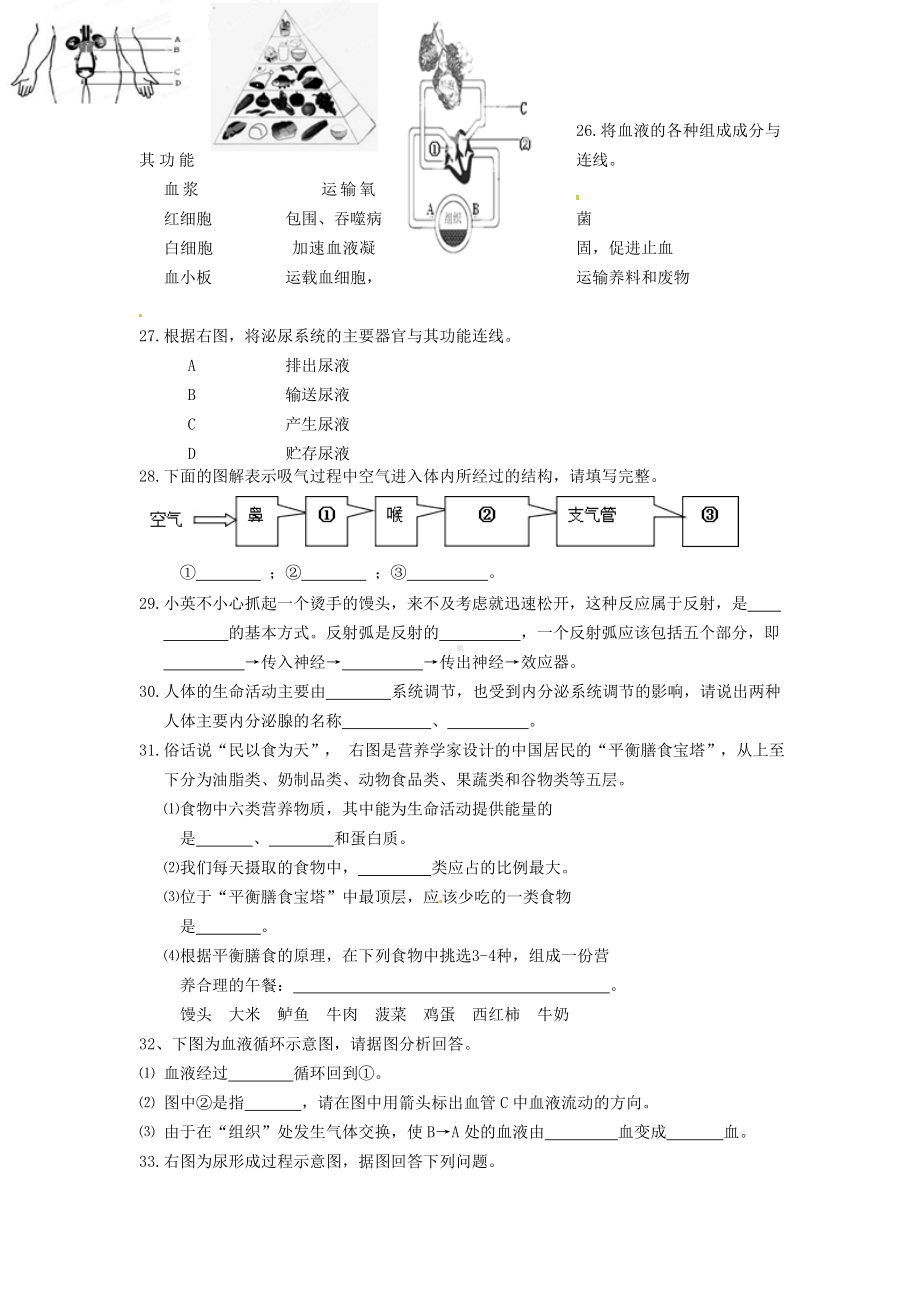 (完整版)人教版七年级下册生物复习试卷.doc_第3页