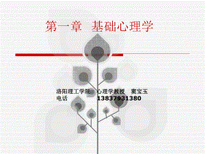 第一章普通心理学.ppt