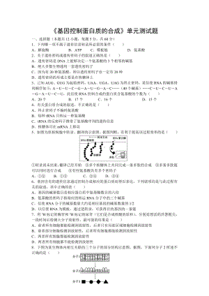 (完整版)《基因控制蛋白质合成》测试题.doc