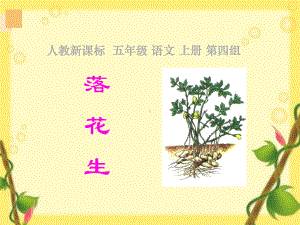 公开课落花生.ppt