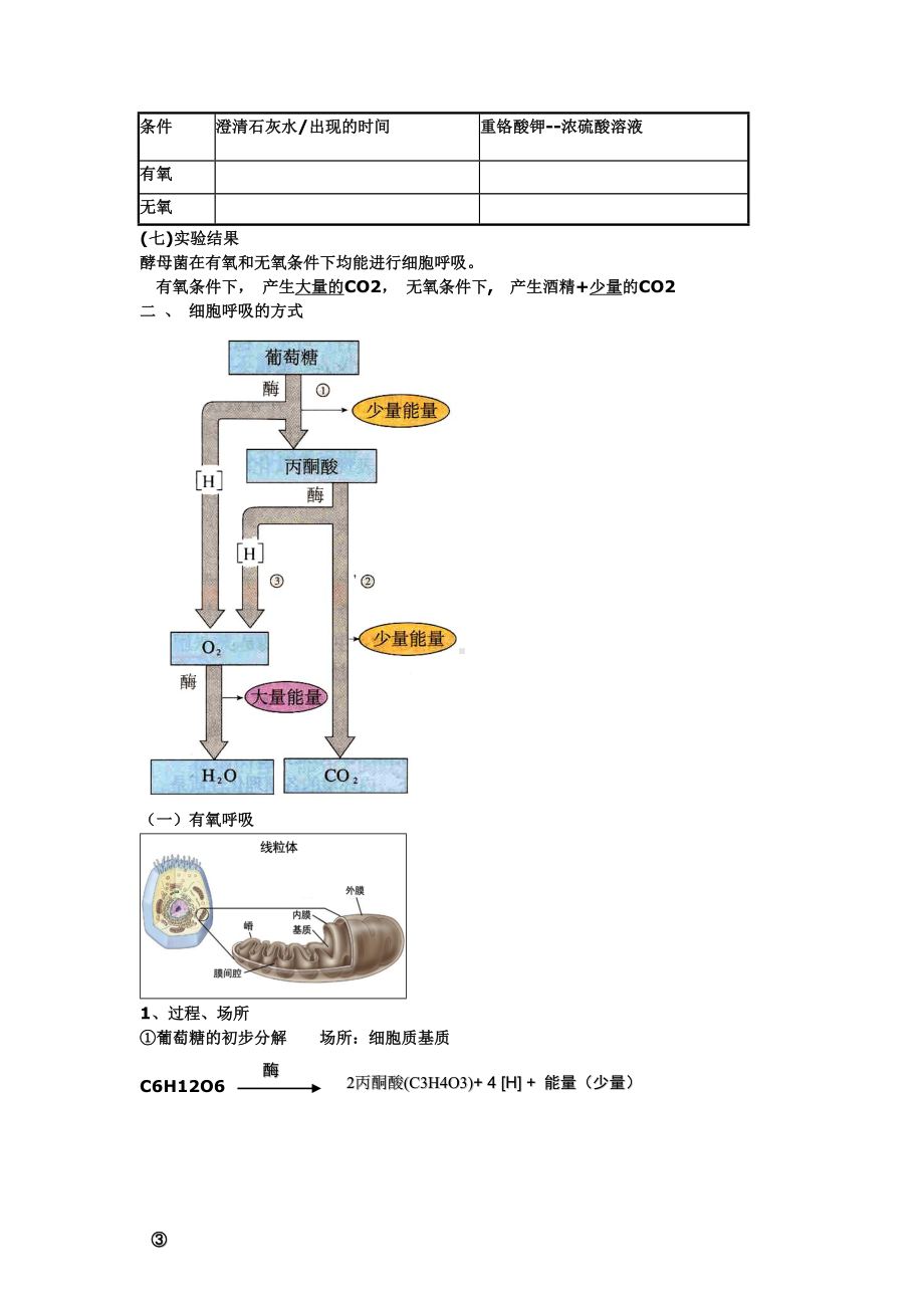 (完整版)光合作用和呼吸作用知识点总结.doc_第2页