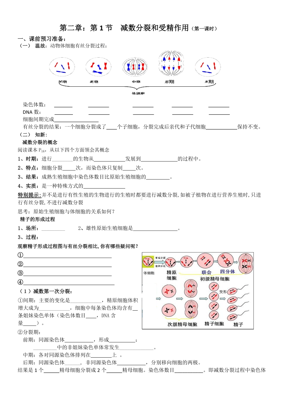 (完整版)减数分裂导学案.doc_第1页