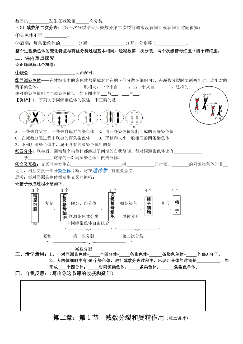 (完整版)减数分裂导学案.doc_第2页