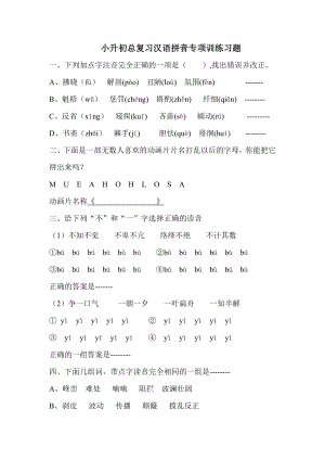 (完整版)小升初总复习汉语拼音专项训练习题.doc