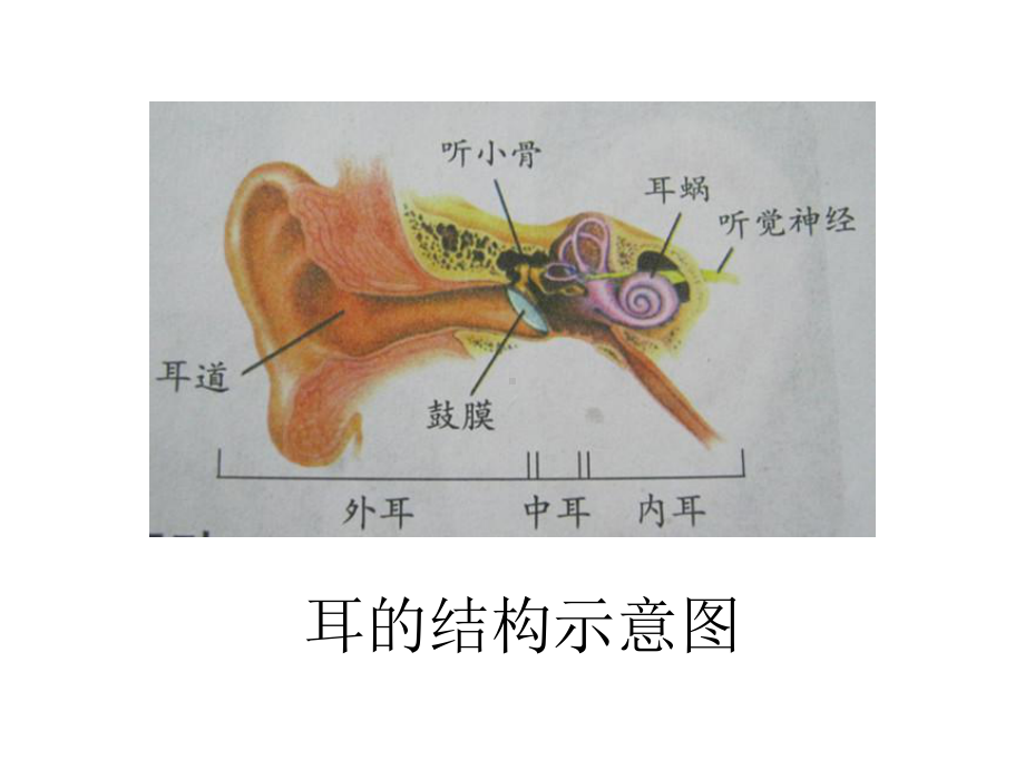 四上科学《保护我们的听力》PPT.ppt_第1页