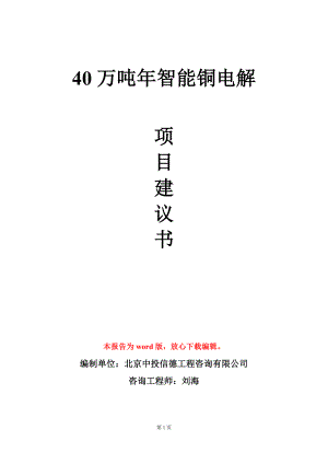 40万吨年智能铜电解项目建议书写作模板.doc