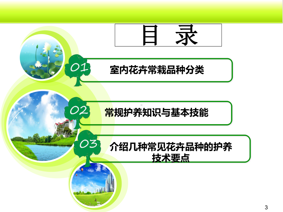 花卉养护知识.ppt_第3页