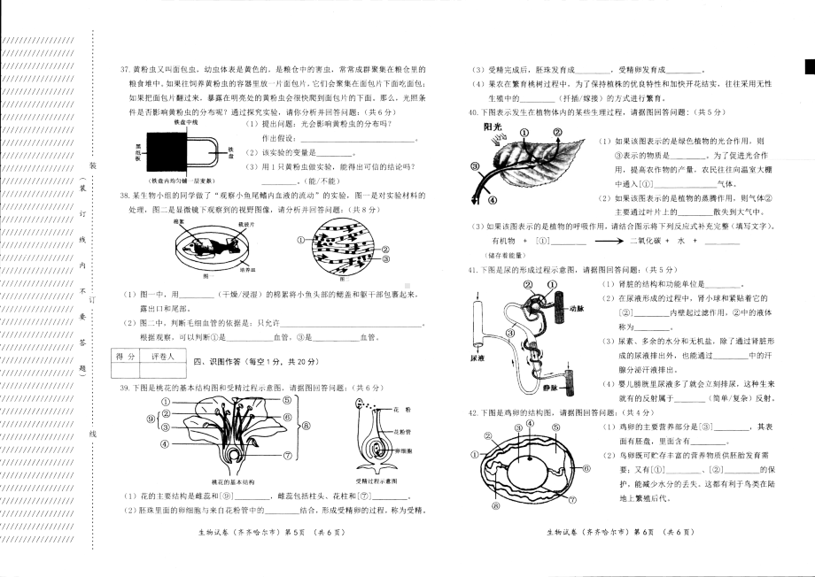 (完整版)2019年齐齐哈尔市初中学业考试试题及答案生物.doc_第3页