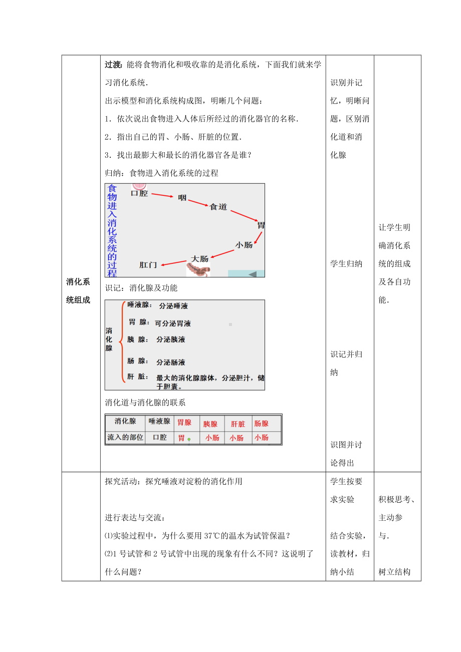 (完整版)《消化和吸收》教案.doc_第3页