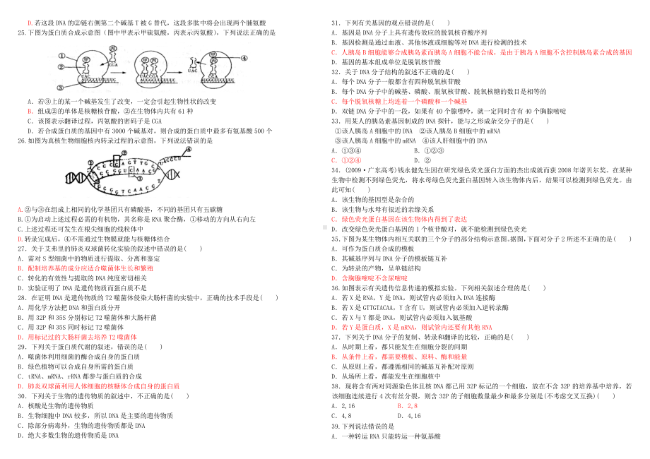 (完整版)基因的本质和基因的表达测试题.doc_第2页