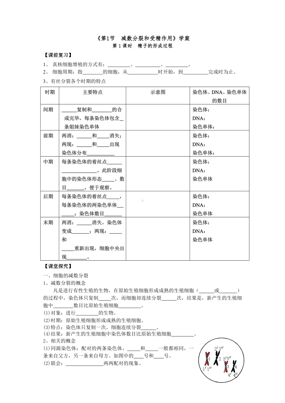 (完整版)减数分裂学案及答案.doc_第1页