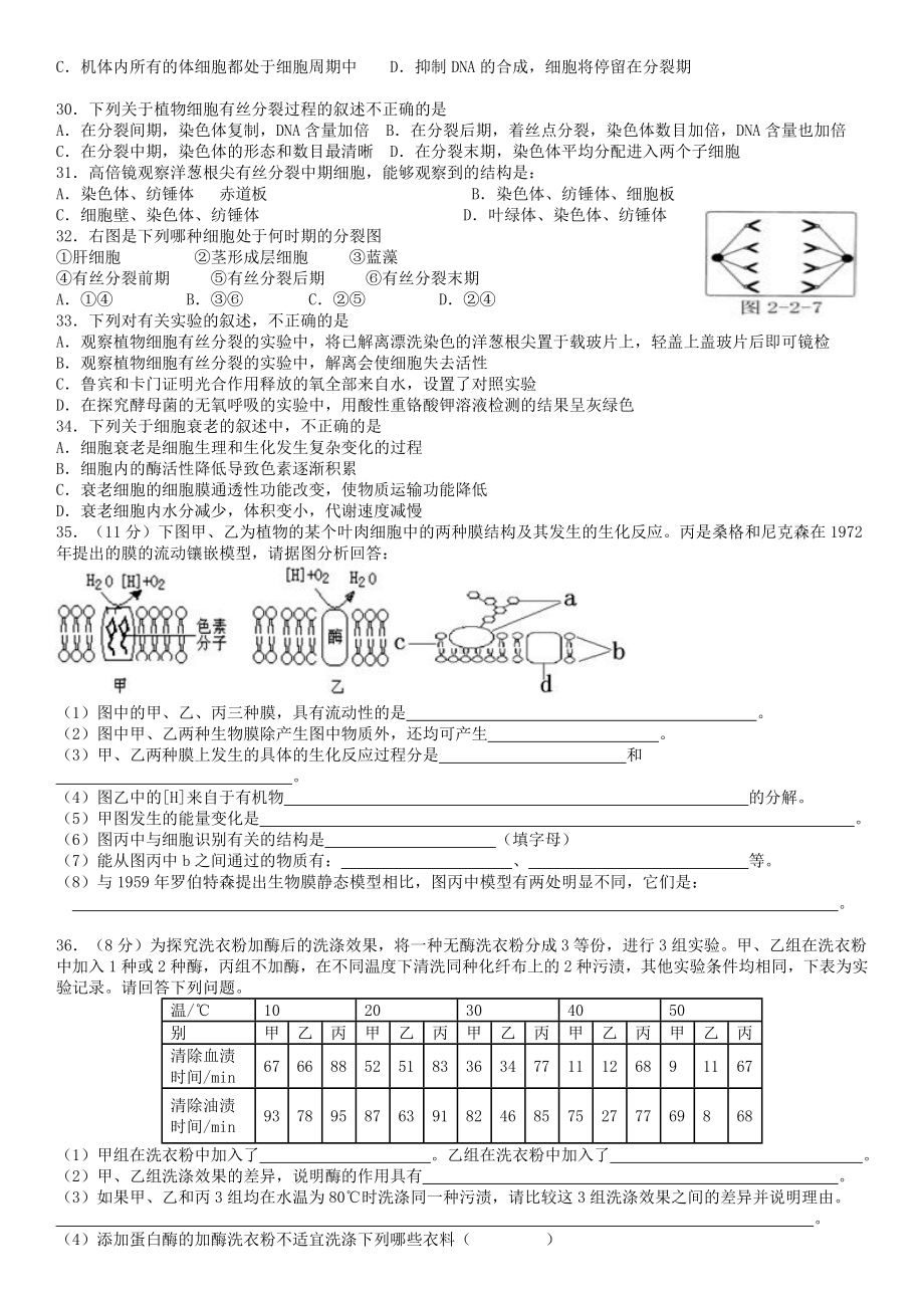 (完整)高中生物必修一练习题.doc_第3页