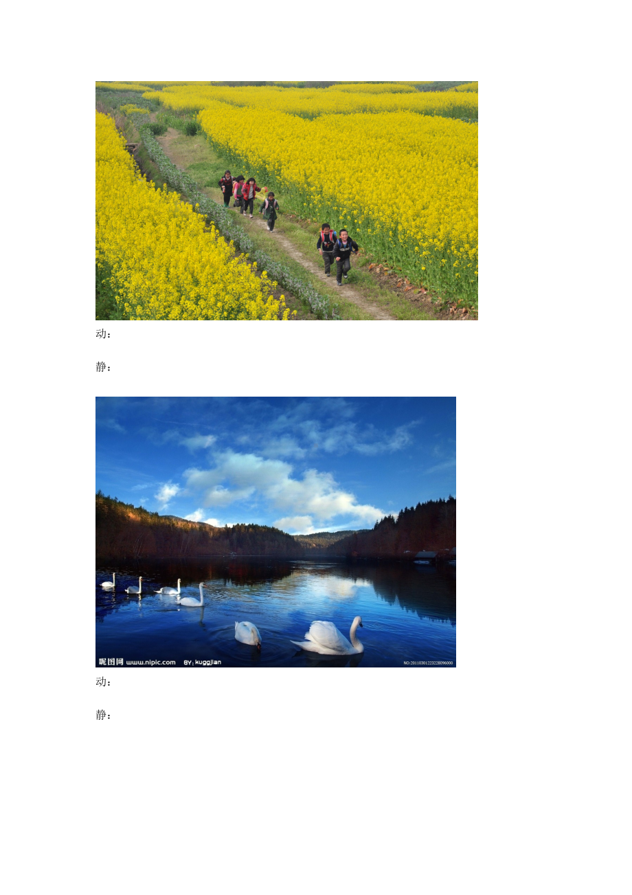 (完整版)四年级作文动静结合写景片段训练.doc_第2页