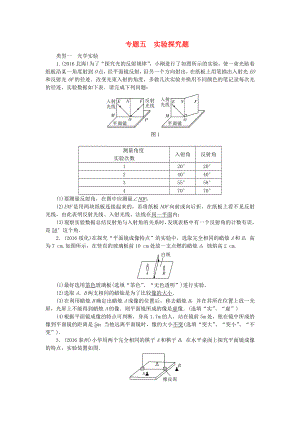 中考物理总复习专题五实验探究题试题.docx