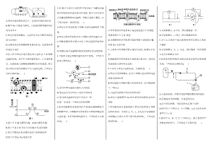 《通过神经系统的调节》试题附答案.doc