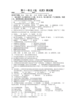 九年级化学盐和化肥测试题.doc