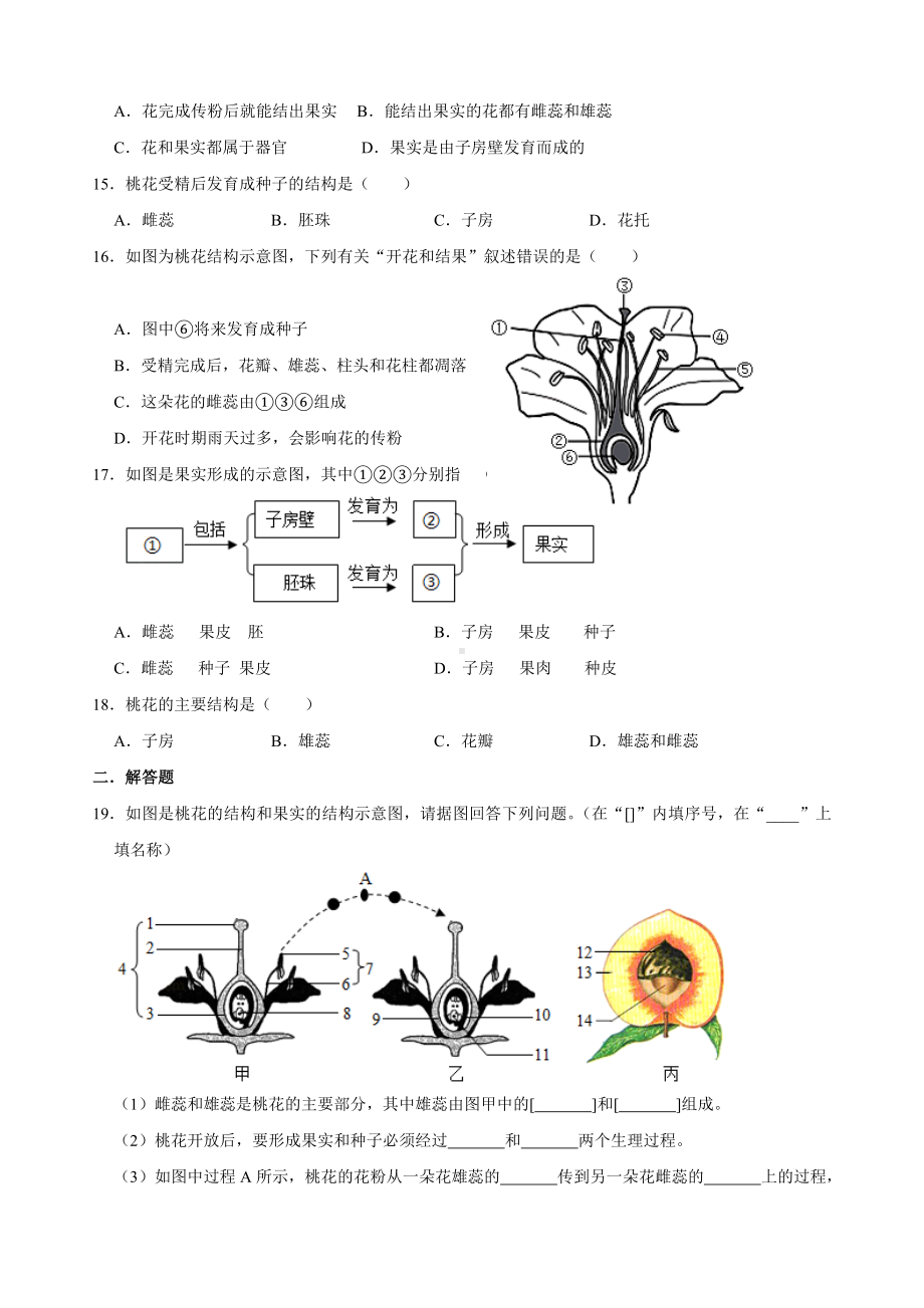 人教版七年级生物上册-第三单元第二章-被子植物的一生-复习题(包含答案).doc_第3页