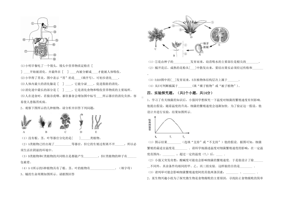 七年级生物下册期末试卷及答案（完整版）.doc_第3页