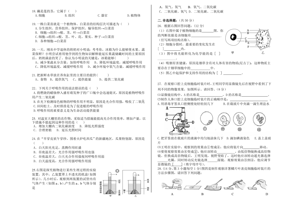 七年级上册生物期中测试卷(人教版).doc_第2页