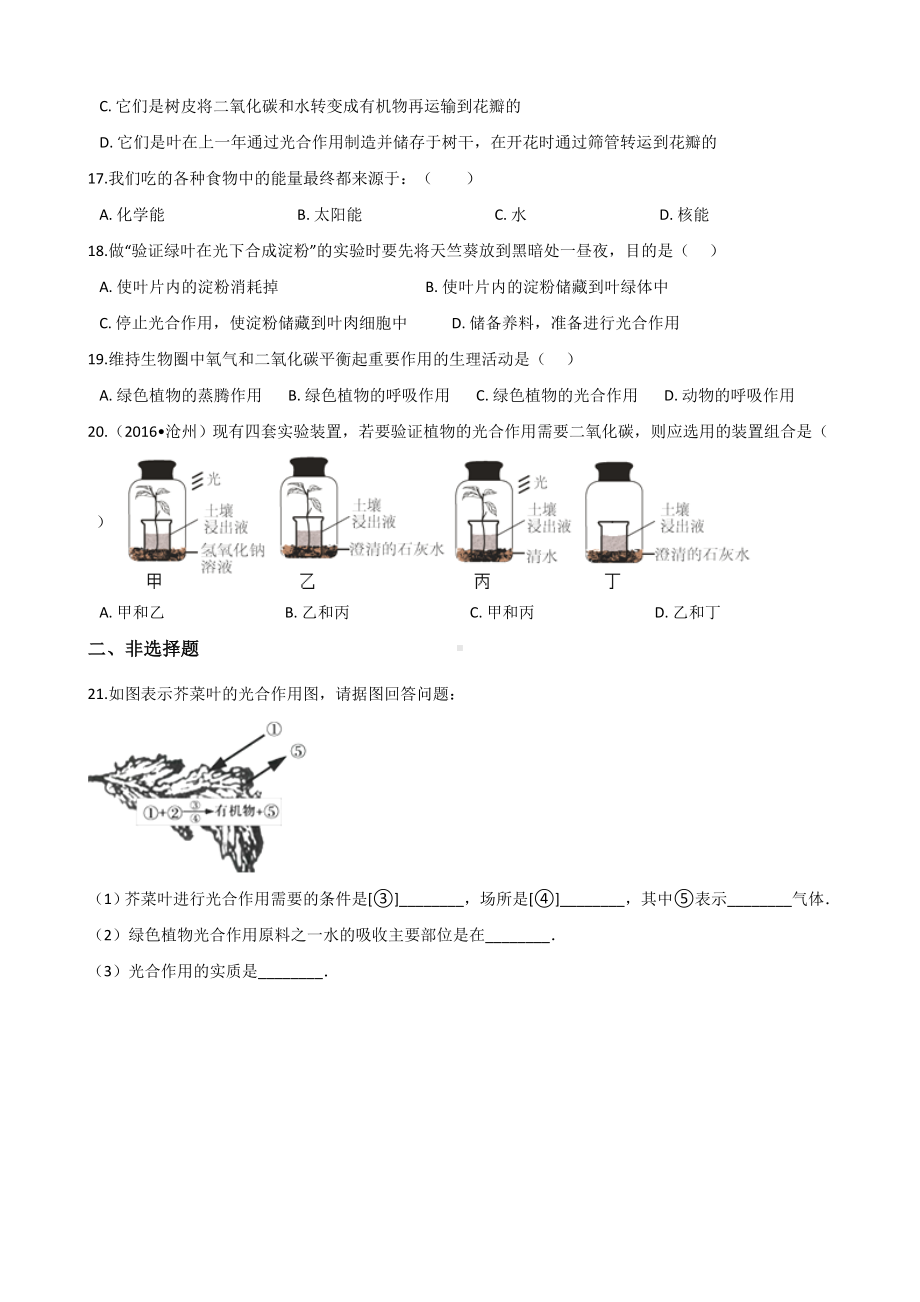 人教版七年级上册生物第三单元-第四章-绿色植物是生物圈中有机物的制造者-综合测试题(无答案).doc_第3页